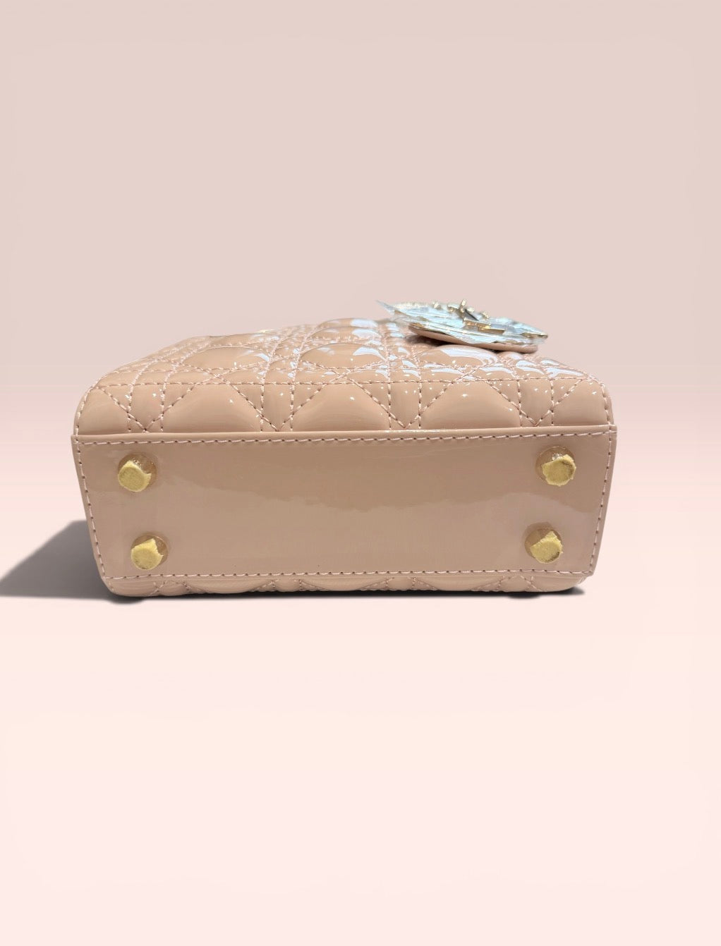 Christian Dior Purse